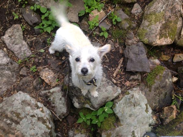 /Images/uploads/Humane Society of Utah/HSUCalendar/entries/969thumb.jpg